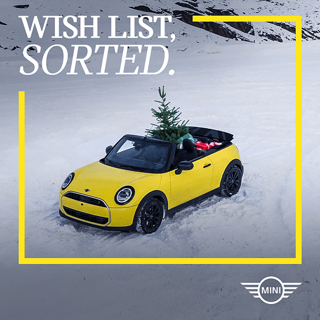 MINI Boston Summer in December Celebration