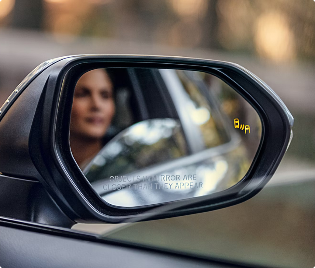 Blind Spot Monitor With Rear Cross-Traffic Alert
