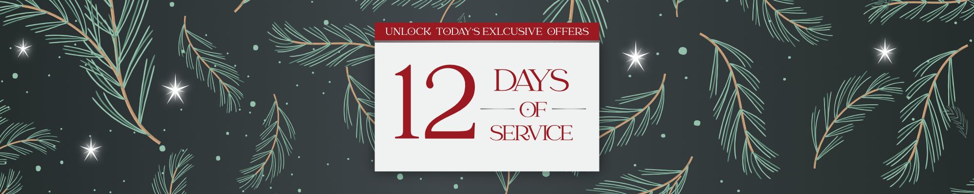 12 Days of Service